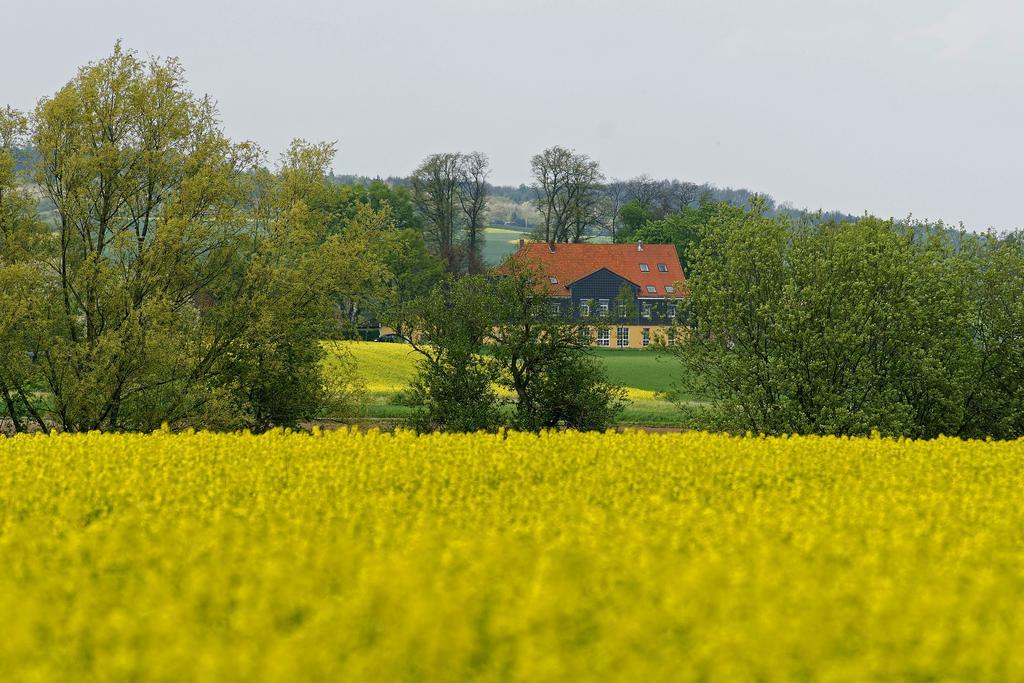 Landhaus Heidekrug Hildesheim Kültér fotó
